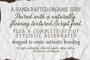 The Sunny Field Font Duo, a Script Font by Creacy Studio (Thumbnail 5 of 10)