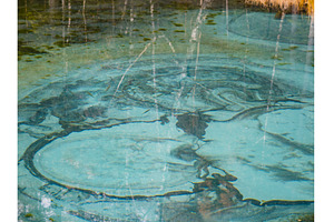 Close up view of amazing blue water, an Animal Photo by Fascinadora