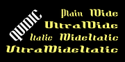 Quidic, a Serif Font by Ingrimayne Type (Thumbnail 2 of 8)