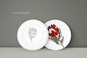 LINE ART COLLECTION BLACK ROSE, an Illustration by ArtOLB (Thumbnail 8 of 10)