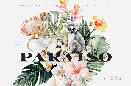 Paraíso - Watercolor Tropical Set, a Decorative Illustration by Muse Artist