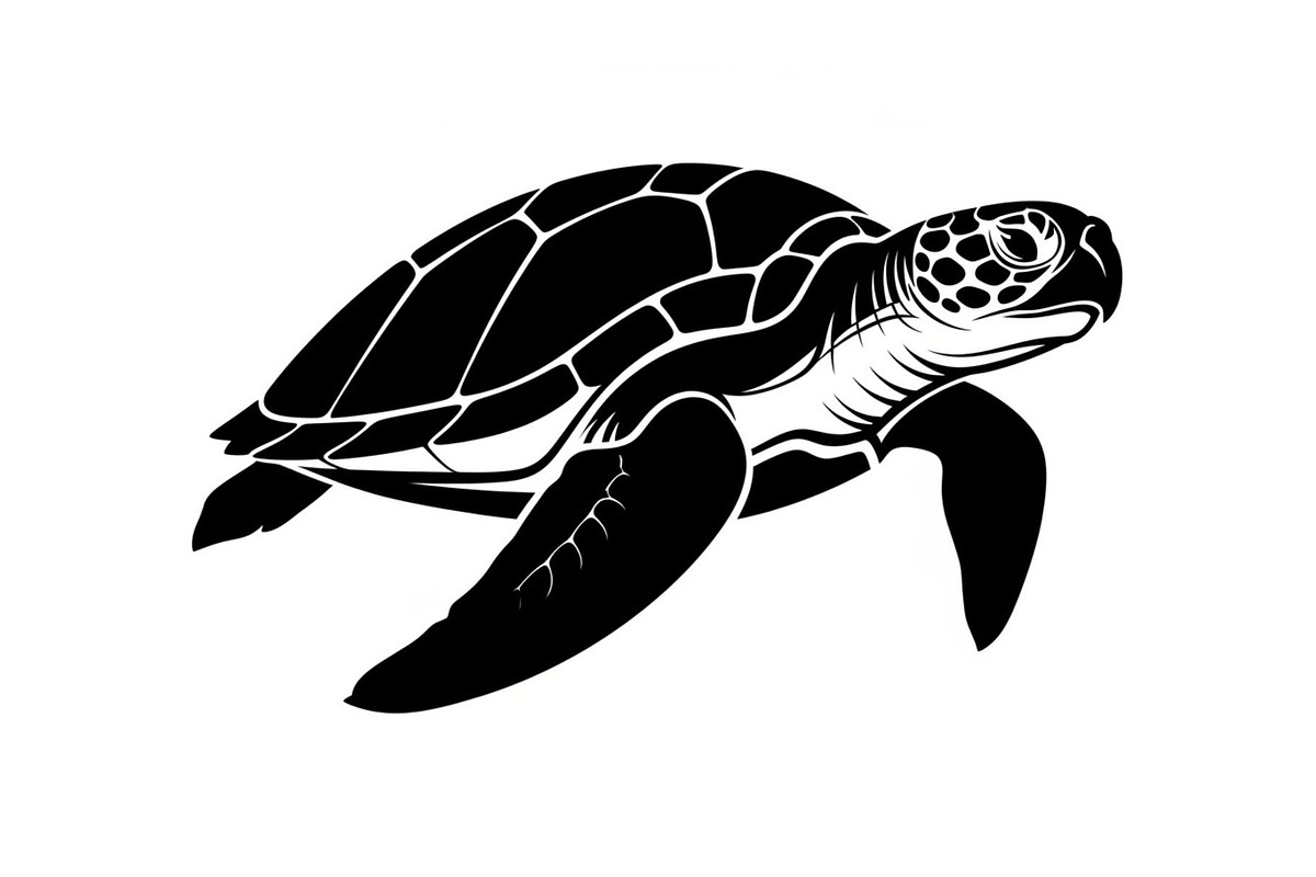 50 Sea Turtle Vector Silhouette Bund, an Illustration by jahid234 (Photo 30 of 51)