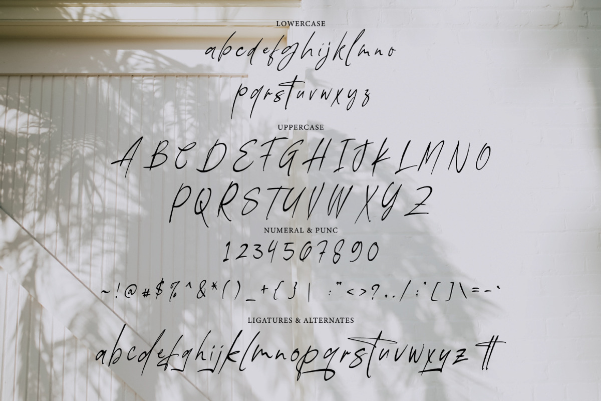 Wistonia - Handwritten Signature, a Script Font by tebaltipislab (Photo 5 of 7)