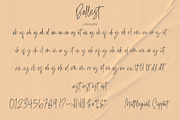 Ballest - Monoline Signature Font, a Script Font by Azcreative Studio (Thumbnail 5 of 9)
