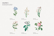 Botanical Nature English Pattern, a Pattern Graphic by likorbut (Thumbnail 5 of 10)
