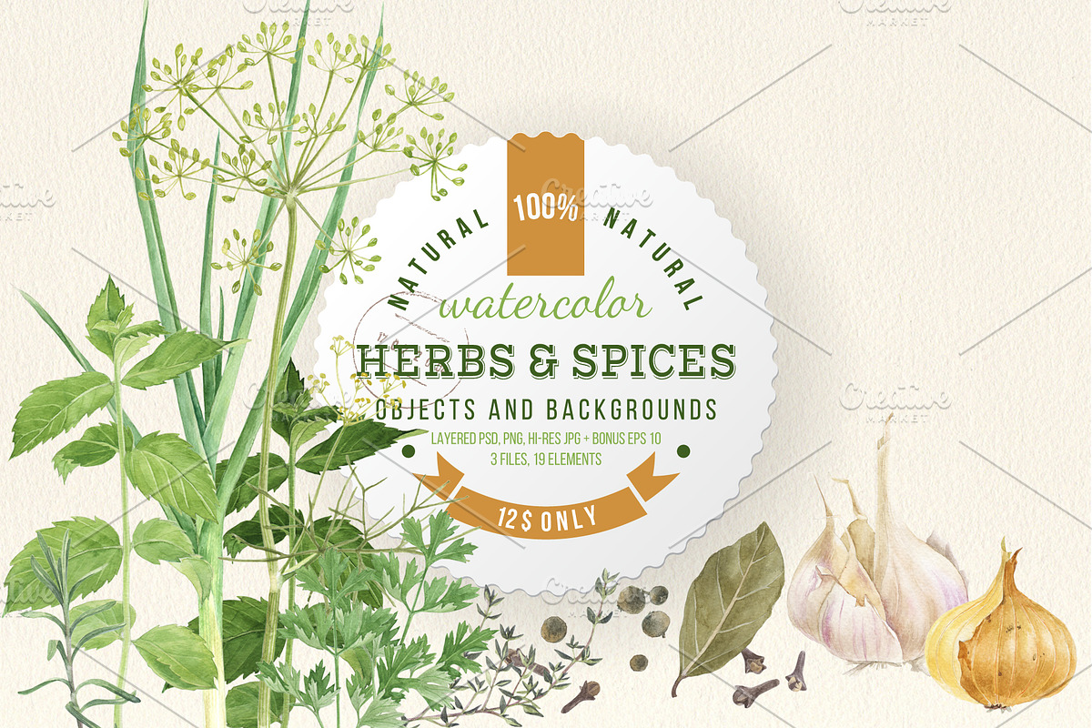 Herbs and spices watercolors, a Healthcare Illustration by handsketched (Photo 1 of 6)