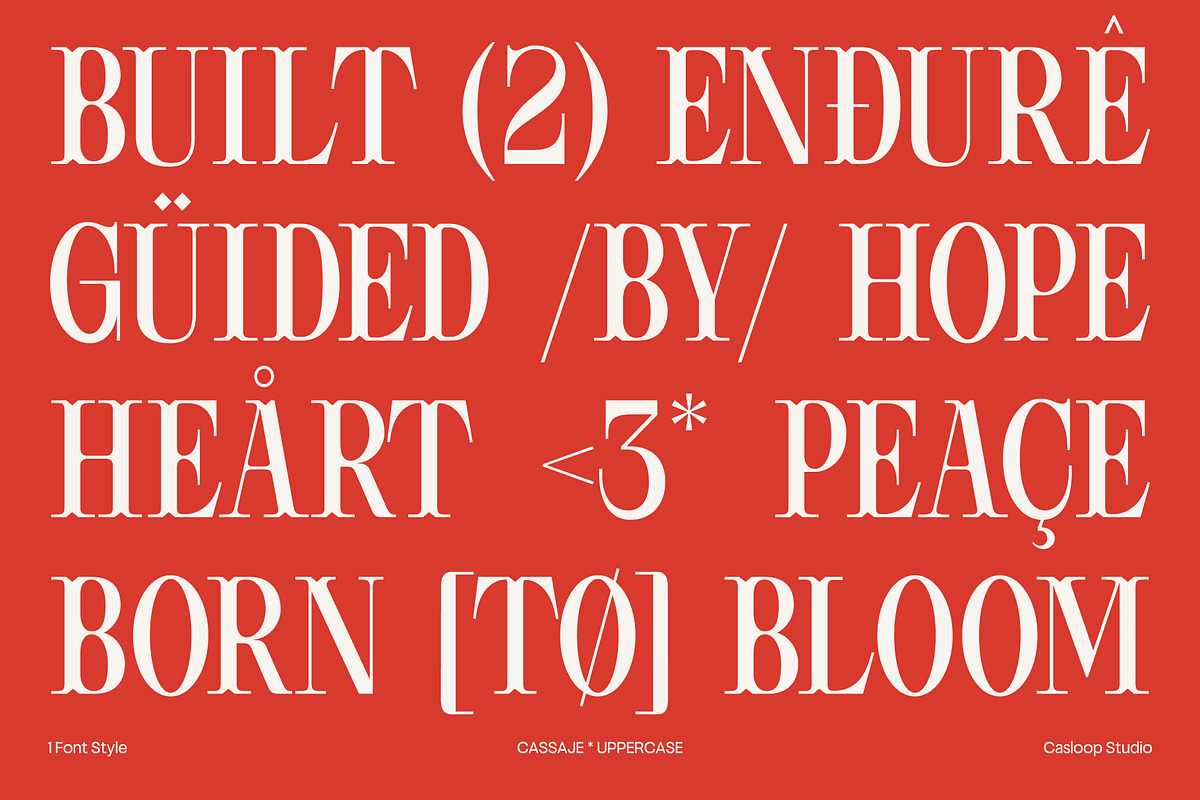 Cassaje – One Case Endless Presence, a Serif Font by Casloop Studio (Photo 9 of 10)