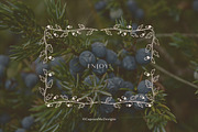 Autumn botanical hand-drawn graphics, a Decorative Illustration by CapriceMeDesigns (Thumbnail 11 of 11)