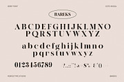 Bareks Elegant Serif Font Typeface, a Serif Font by Perfectype (Thumbnail 6 of 6)