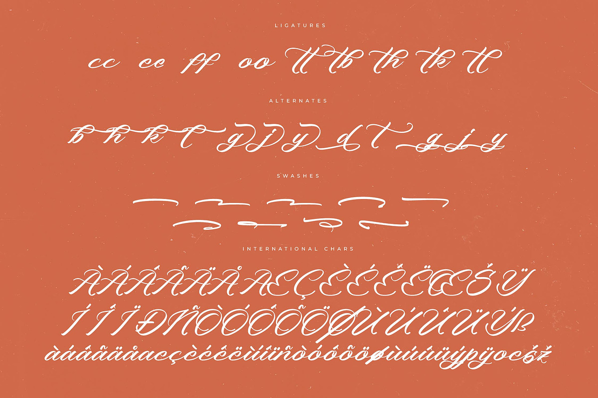Machine Vintage Modern Stylish, a Script Font by Letterena Studios Script (Photo 14 of 15)