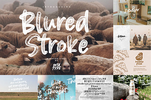 Modern Brush Font Bundle