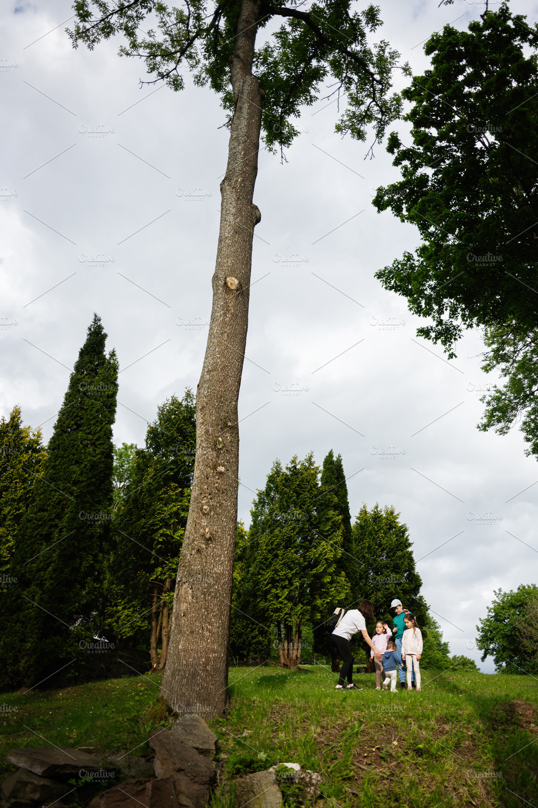 Family enjoying outdoor activities in a scenic green park landscape, a Photo by AS photostudio