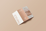 Trifold Brochure Mockup, a Books & Magazine Mockup by Lxadesign (Thumbnail 3 of 18)