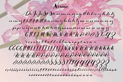 Nerine & Nerine Deux, a Script Font by STUDIOWAYS (Thumbnail 6 of 8)