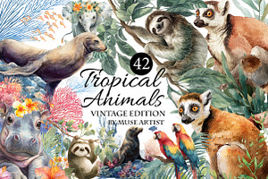 Watercolor Tropical Animals Clipart, an Illustration by DreamArtGraphic