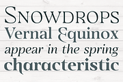 Eirlys Normal, a Serif Font by Typomancer (Thumbnail 6 of 6)