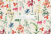 Vintage Botanical Floral Pattern, a Pattern Graphic by likorbut (Thumbnail 2 of 13)