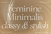 Fluneta, a Serif Font by zeenesia (Thumbnail 18 of 21)