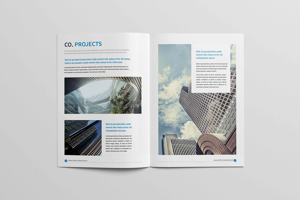 Annual Report Brochure, a Brochure Template by New Lines (Photo 11 of 12)