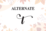 Autumn | Script Font, a Handwritten Font by Scratchones (Thumbnail 7 of 8)