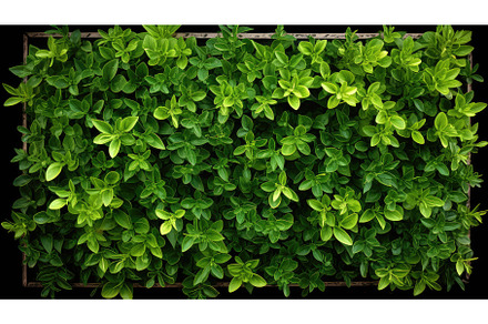 frame overhead green border top view, a Nature Photo by pikepicture