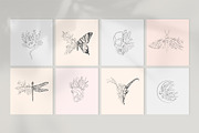 Botanical posters, a Decorative Illustration by Merfin (Thumbnail 5 of 7)