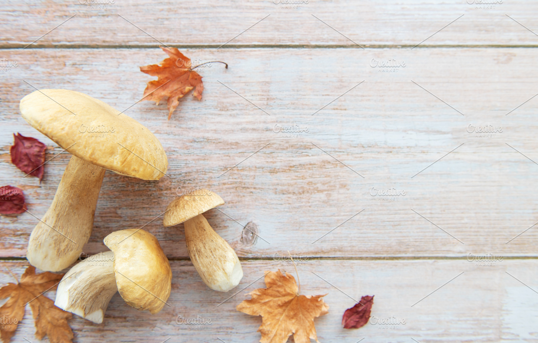 Fresh mushrooms and autumn leaves creating a frame on rustic woo, a Food & Drink Photo by Olena Rudo