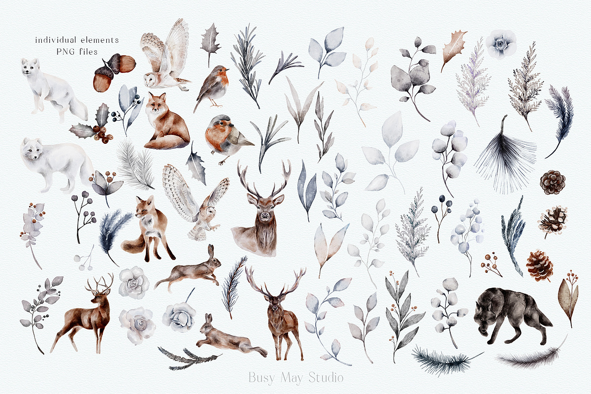The Ultimate Winter Collection, an Animal Illustration by Busy May Studio (Photo 2 of 14)
