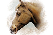 Horse Illustration, an Animal Illustration by Digital Art Downloads (Thumbnail 3 of 4)