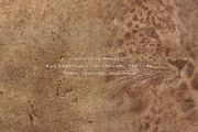 Vestige · Primal Earth Backgrounds, a Background Graphic by alonahaidash (Thumbnail 6 of 16)