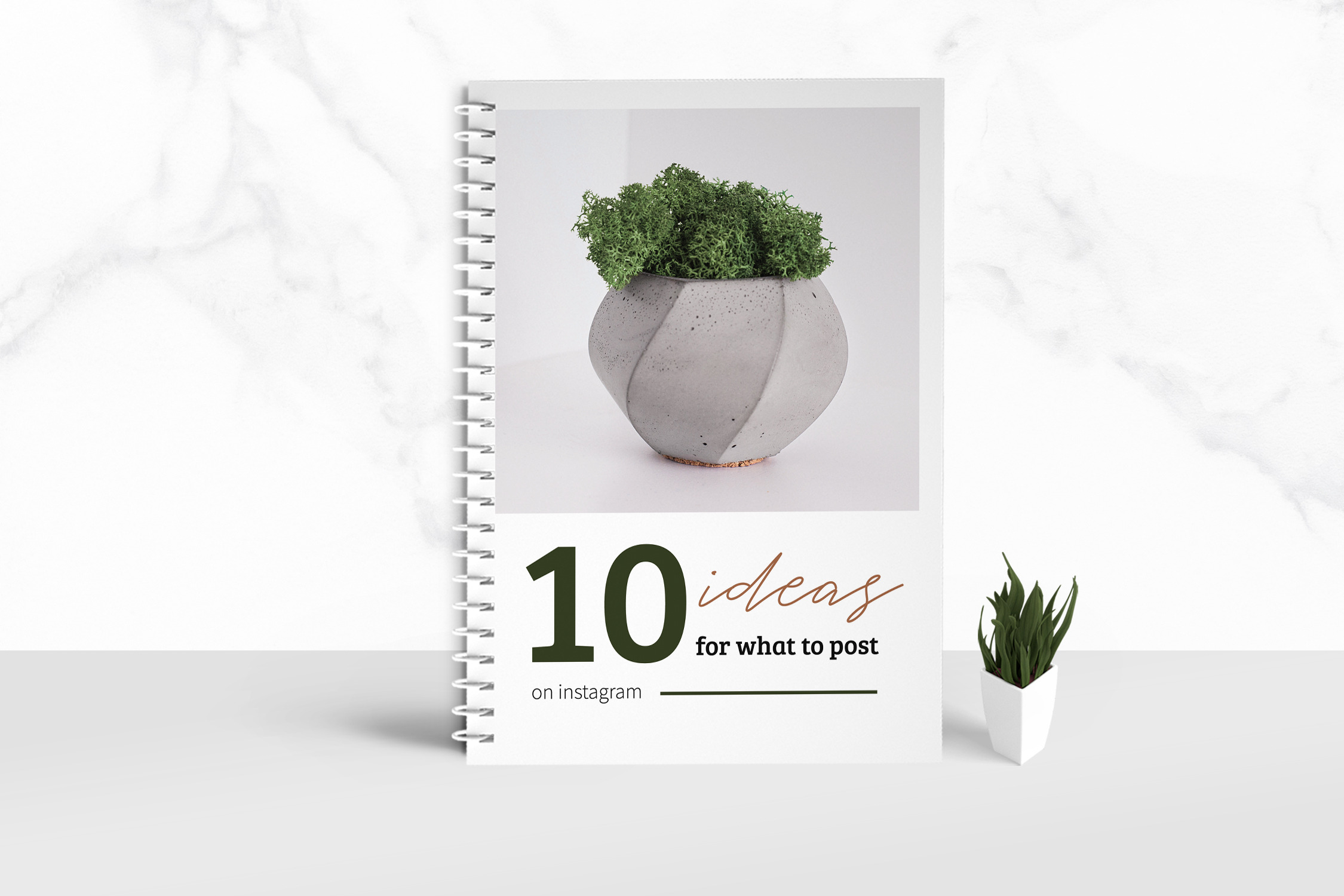eCourse Workbook Template, a Brochure Template by TMint Play
