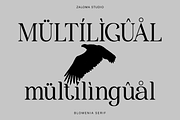 Blomenia, a Serif Font by Zaloma Studio (Thumbnail 15 of 18)
