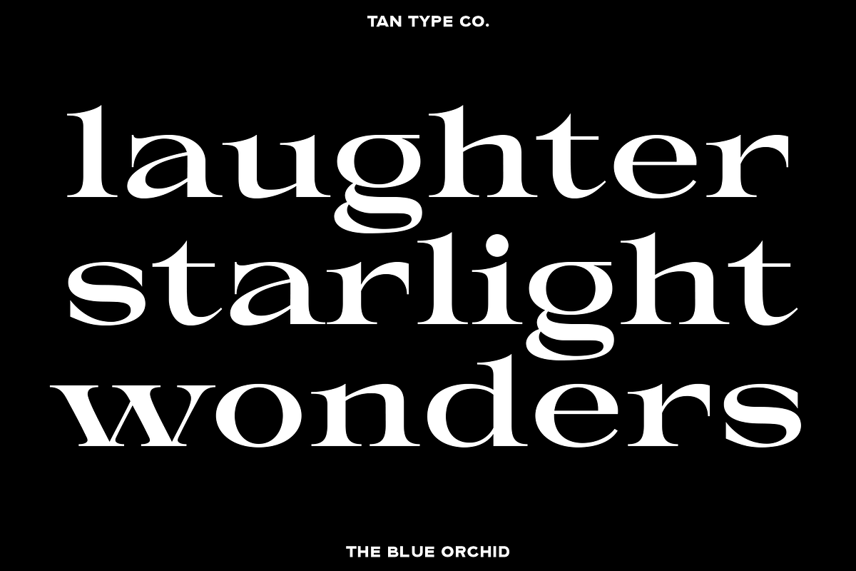 TAN - THE BLUE ORCHID, a Serif Font by TanType (Photo 6 of 12)