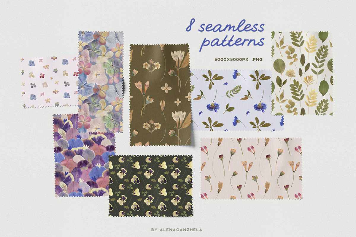 SUMMER MEMORIES - herbarium flowers, an Object Graphic by alenaganzhela (Photo 6 of 8)