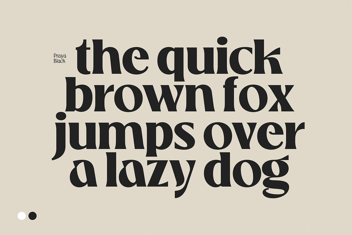 Praya - Modern Branding Font, a Serif Font by creativemedialab (Photo 3 of 17)