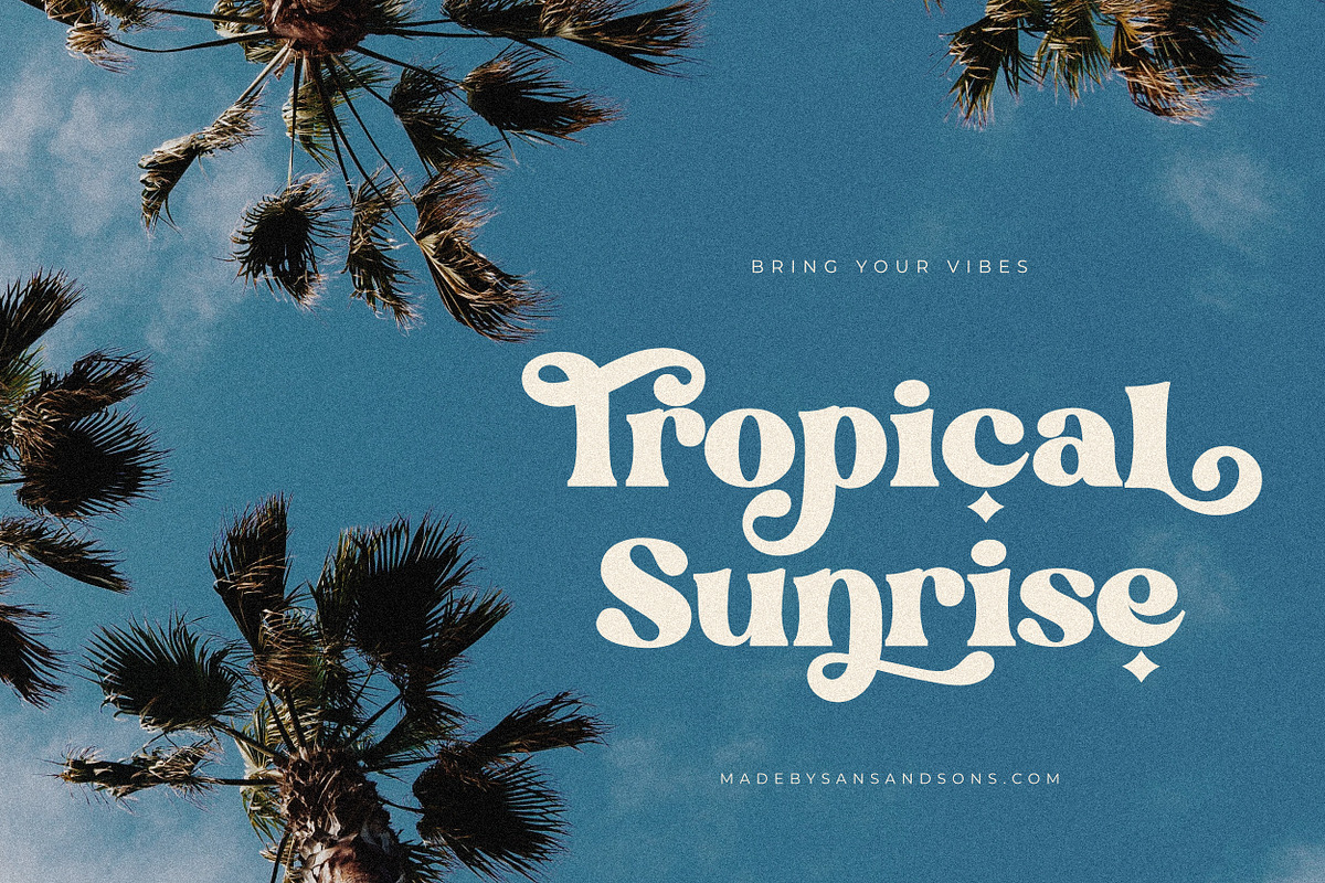 Grande - Retro Font, a Serif Font by Sans & Sons (Photo 8 of 11)