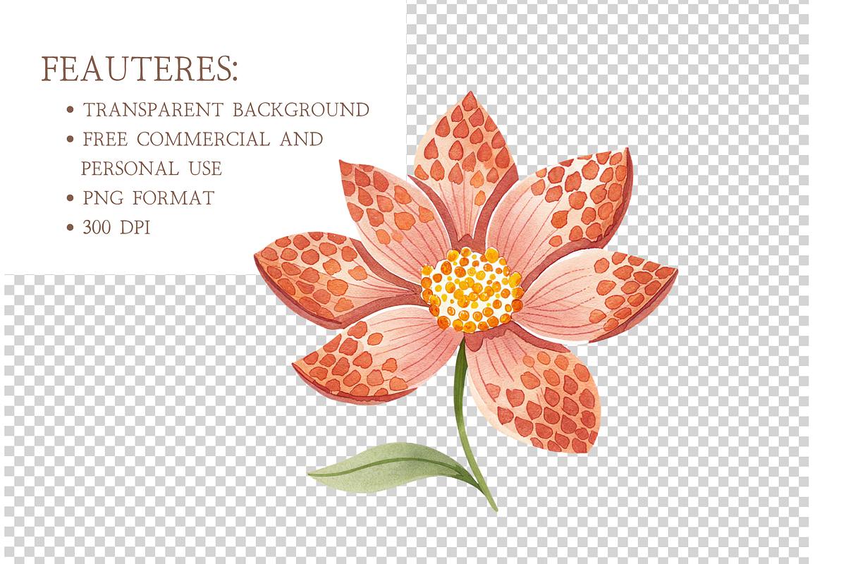 Cozy Autumn Clipart Bundle, a Decorative Illustration by MockupWizard (Photo 3 of 4)
