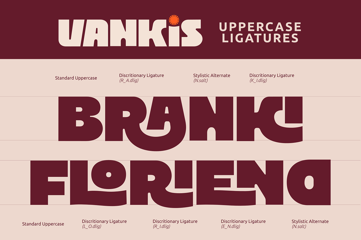 Vankis Font Family, a Sans Serif Font by zeenesia (Photo 21 of 21)