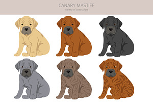 Canary Mastiff Clipart