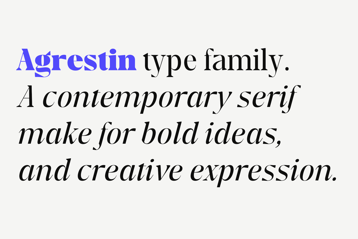 Agrestin, a Serif Font by Black Studio (Photo 10 of 15)