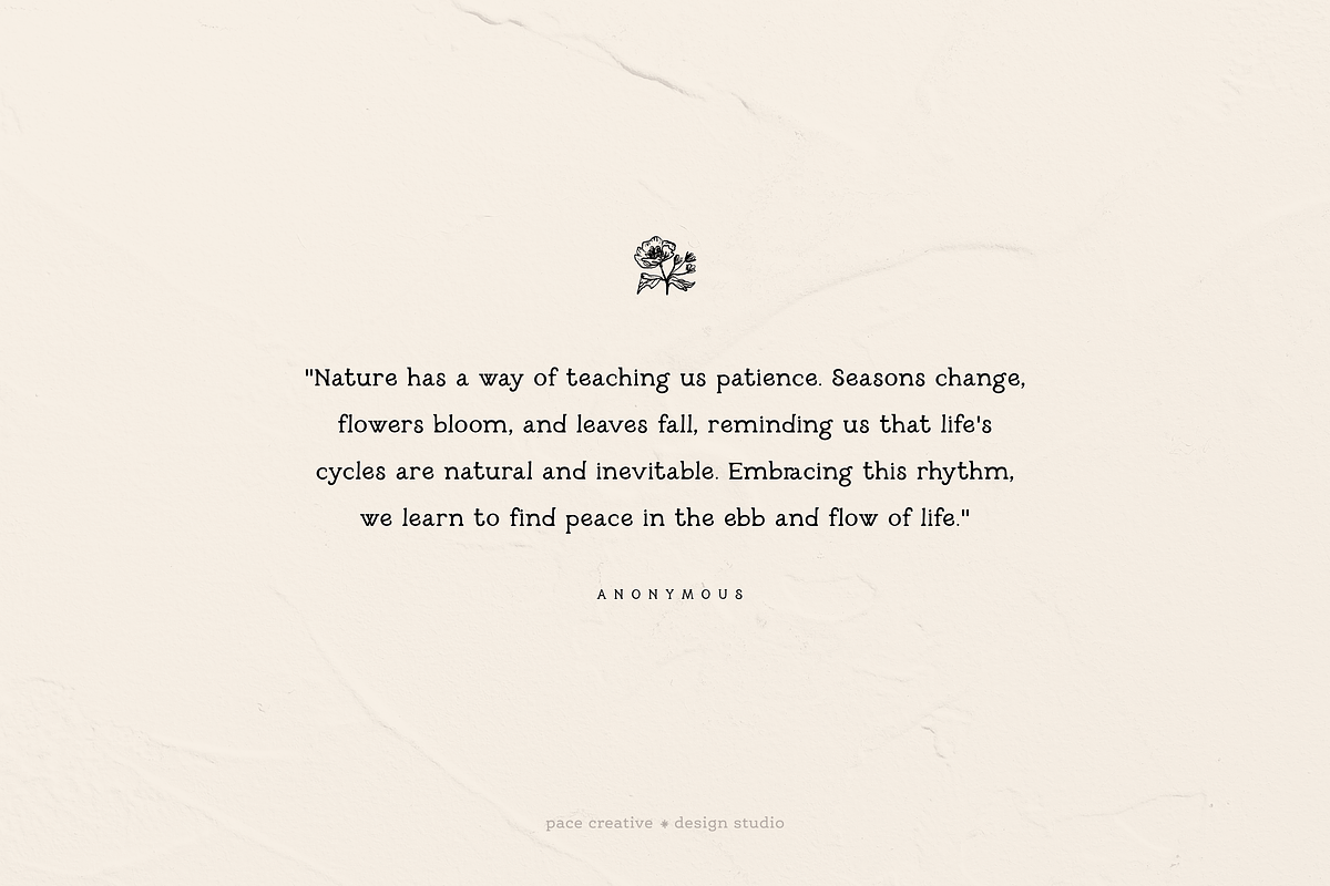 Millie June Font Free Downloadv - UIFreebies