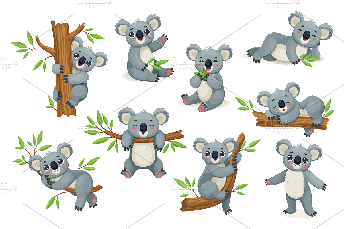 Cartoon funny koala bears, an Animal Illustration by Buch&Bee