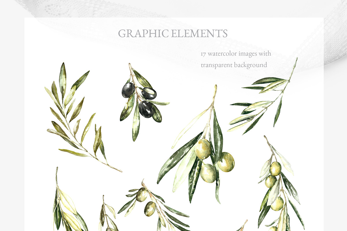 Watercolor Olive greenery clipart, a Decorative Illustration by Catherine Wheel (Photo 18 of 19)