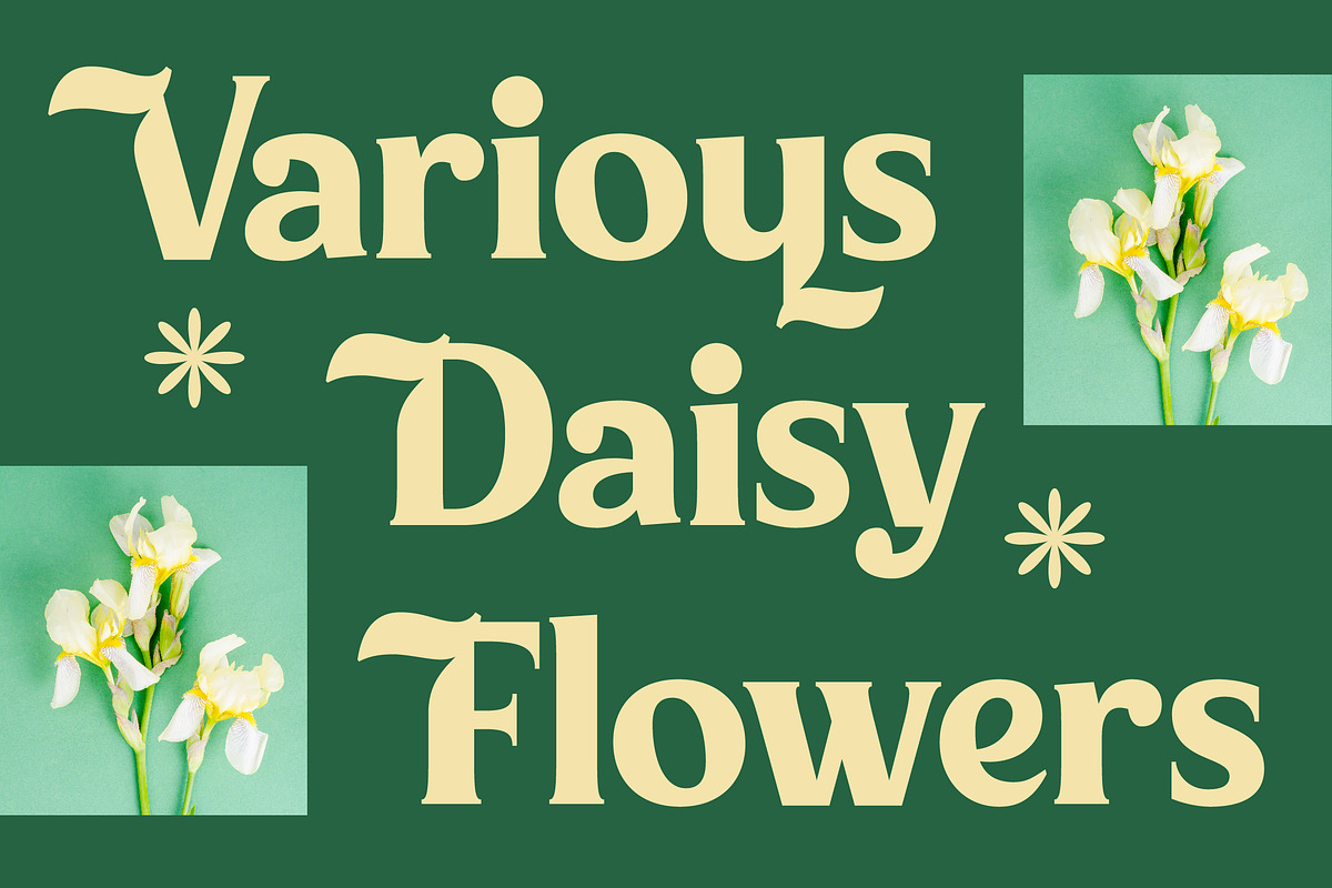 Milan Wulko Alternate Bold Serif, a Serif Font by timelesstype.co (Photo 3 of 20)