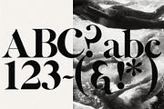 Commune - Modern Serif Font, a Serif Font by Tropical Type (Thumbnail 10 of 11)