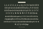 Gts Calira - Romantic Serif Font, a Serif Font by Graptail (Thumbnail 20 of 20)