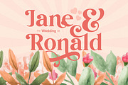 Author - Modern Serif Font, a Serif Font by Luna Shop (Thumbnail 9 of 11)