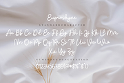 Euproshyne, a Script Font by And Studio (Thumbnail 15 of 16)
