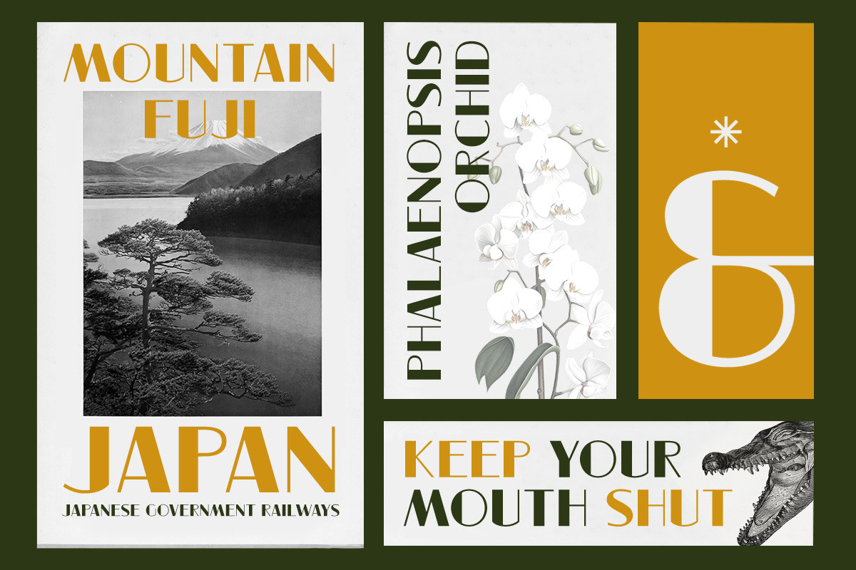 Cesandor Sans & Serif, a Sans Serif Font by Letterhend Studio (Photo 5 of 9)