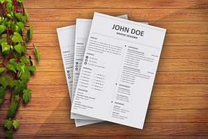 Sleek & Stylish Resume Design